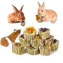 Abizoo Rabbits Chew Toys Organic Papaya Wood for Guinea Pigs Chinchillas Hamsters Small Animals Treats with Calendula Forget Me Nots and Alfalfa Hay Dental & Digestive Support No Additives 4.23oz/120g