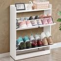 ABOUT SPACE Shoe Rack for Home - 3 Ft 2 Tier Tilt Out Door Slim Shoe Cabinet | 12-15 Pairs Vintage Slipper Stand with Anti-Tipping Protection &amp; Removable/Adjustable Panels - Engineered Wood - White