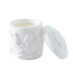 absorbia aromatherapy scented candle with fragrance of white tea bliss5 perfume concentrates essential oil and soybean wax 150g 25-hour burn time ceramic cup 105cm x 7cm