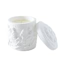ABSORBIA Aromatherapy Scented Candle with Fragrance of White Tea Bliss,5% Perfume Concentrates, Essential Oil and Soybean Wax, 150g, 25-Hour Burn Time, Ceramic Cup (10.5cm x 7cm)…