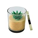 ABSORBIA Tropical Bliss Pineapple Scented Candle - 5% Perfume Concentrates, 260g, 52-Hour Burn Time, Glass Cup - Aromatherapy and Relaxation…