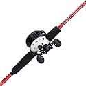 Abu Garcia Mike Iaconelli Pro-Designed Youth Reel and Fishing Rod Combo