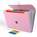 Accordion File Organizer, Accordion Folder for Sorting Documents and Papers, 13 Pockets Expanding File Storage Organizer for Hospital Bag Essentials, Home, Travel and Office Use (Pink)