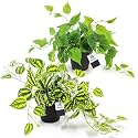 AceList 2 Pack Fake Plants, Artificial Plants for Home Decor Indoor, Realistic Fake Watermelon Leaves with Black Pot for Bedroom Living Room Shelf Outdoor Office Decor