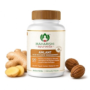 maharishi ayurveda amlant  herbal digestive support with haritaki mulethi amp 14 herbs  helps with gas bloating amp gut health  ayurvedic supplement for daily use  120 tablets  pack of 1