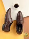 action Dotcom OFFICE-252 Classy Trendy Comfortable lightweight