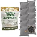 Activated Charcoal Odor Absorbers for Strong Odors in Homes, Cars, & Shoes - Reusable Moisture Absorbers - Sustainable Odor Absorbers - Room Air Freshener - 10 Activated Bamboo Charcoal Bags (100g)