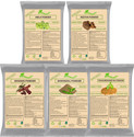 Activeland Amla, Reetha, Shikakai & Methi Dana Powder - Hair Pack for Healthy Hair Combo (400 g)