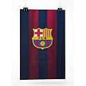 AD INFINITUM 300 GSM Paper FC Barcelona Football Clubs Wall Posters (13x19 inch) multicolor