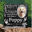 ADFSTONE Cat Memorial Stones, Pet Headstone for Loss Gifts, Animal Grave Markers - Sympathetic Dog Gift, Granite Pet Burial Markers, Personalized Pet Gravestone, Garden Stones for Bereavement