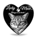 ADFSTONE Heart Shaped Pet Memorial Stones Personalized Dog Remembrance Gifts, Customized Cat Picture Grieving Plaque, DIY Gravestone, Custom Sympathy Photo Gift, Animal Grave Markers