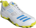 ADIDAS CRIHASE Cricket Shoes For Men