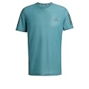 adidas Men39s 100 Cotton Regular Fit T-Shirt