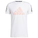 adidas Men's Printed Regular Fit T-Shirt