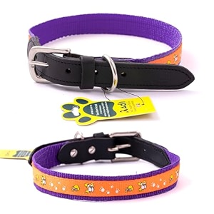 adils nylon dog collar with paw print adjustable metal buckle with d-ring width 1 inch for small medium amp large dog 14 color options size s 1234-1634 purple