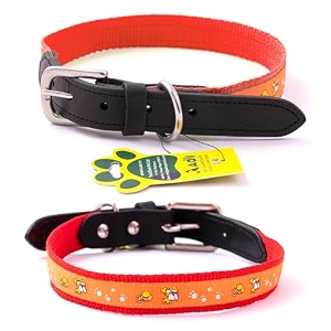 adils nylon dog collar with paw print adjustable metal buckle with d-ring width 1 inch for small medium amp large dog 14 color options size s 1234-1634 red
