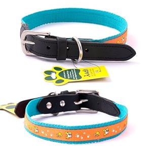 adils nylon dog collar with paw print adjustable metal buckle with d-ring width1 inch for small medium amp large dog 14 color options size s 1234-1634teal