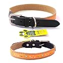Adil’S Nylon Dog Collar with Paw Print, Adjustable Metal Buckle with D-Ring Width: 1 inch for Small, Medium &amp; Large Dog, 14 Color Options, Size: L (20"-24"), Beige