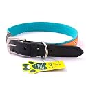 Adil’S Nylon Dog Collar with Paw Print, Adjustable Metal Buckle with D-Ring Width: 1 inch for Small, Medium &amp; Large Dog, 14 Color Options, Size: L (20"-24"), Teal
