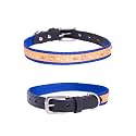 Adil’S Nylon Dog Collar with Paw Print, Adjustable Metal Buckle with D-Ring Width: 1 inch for Small, Medium &amp; Large Dog, 14 Color Options, Size: XL (22"-26"), Royal Blue