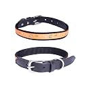 Adil’S Nylon Dog Collar with Paw Print, Adjustable Metal Buckle with D-Ring Width:1 inch for Small, Medium &amp; Large Dog, 14 Color Options, Size: S (12"-16"), Black