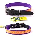 Adil’S Nylon Dog Collar with Paw Print, Adjustable Metal Buckle with D-Ring Width: 1 inch for Small, Medium &amp; Large Dog, 14 Color Options, Size: M (16"-20"), Purple