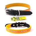 Adil’S Nylon Dog Collar with Paw Print, Adjustable Metal Buckle with D-Ring Width: 1 inch for Small, Medium &amp; Large Dog, 14 Color Options, Size: XL (22"-26"), Yellow
