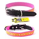 Adil’S Nylon Dog Collar with Paw Print, Adjustable Metal Buckle with D-Ring Width:1 inch for Small, Medium &amp; Large Dog, 14 Color Options, Size: S (12"-16"), Pink