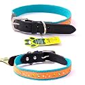 Adil’S Nylon Dog Collar with Paw Print, Adjustable Metal Buckle with D-Ring Width: 1 inch for Small, Medium &amp; Large Dog, 14 Color Options, Size: M (16"-20"),Teal