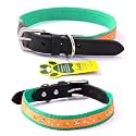 Adil’S Nylon Dog Collar with Paw Print, Adjustable Metal Buckle with D-Ring Width: 1 inch for Small, Medium &amp; Large Dog, 14 Color Options, Size: S (12"-16"), Green
