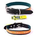 Adil’S Nylon Dog Collar with Paw Print, Adjustable Metal Buckle with D-Ring Width: 1 inch for Small, Medium &amp; Large Dog, 14 Color Options, Size: L (20"-24"), Hunter Green