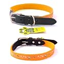 Adil’S Nylon Dog Collar with Paw Print, Adjustable Metal Buckle with D-Ring Width: 1 inch for Small, Medium &amp; Large Dog, 14 Color Options, Size: S (12"-16"), Orange
