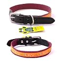 Adil’S Nylon Dog Collar with Paw Print, Adjustable Metal Buckle with D-Ring Width: 1 inch for Small, Medium &amp; Large Dog, 14 Color Options, Size: S (12"-16"), Burgundy