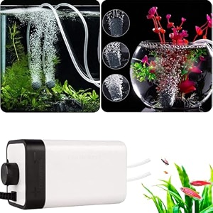 colourful adjustable air flow facility for fish tank  aquarium air pump silent with oxygen super noiseless air pump with 2 air outlets  suitable up to 300l  ct-202 2 way only air pump