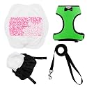 Adjustable Chicken Harness Diaper (5.4ft Leash) – Breathable &amp; Washable Secure Training for Hens, Ducks &amp; Chicks | Outdoor Walking &amp; Discipline Solution