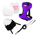 Chicken Harness Hen Size with 5.5ft Matching Leash – Adjustable, Resilient, Comfortable, Breathable, Large Size, Suitable for Chicken Weighing About 6.6 Pound,Purple