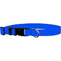 Adjustable Collar 1" L, Pacific Blue