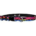 Adjustable Collar 1" L, Psychic Rainbow