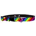 Adjustable Collar 1" L, Rainbow Stripe