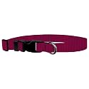 Adjustable Collar 1" L, Raspberry