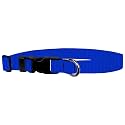Adjustable Collar 1" L, Royal Blue