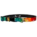Adjustable Collar 1" M, Iowa State - Logo on Tie Dye