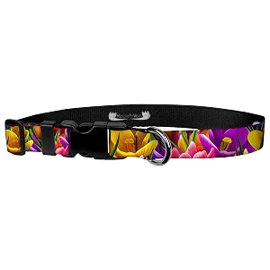 adjustable collar 134 m spring bloom