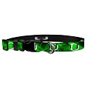 Adjustable Collar 1" M, University of Oregon - Green Mist Chromeo