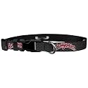 Adjustable Collar 1" M, Washington State - Cougars on Carbon Fiber