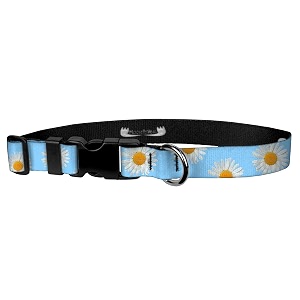 adjustable collar 134 xl daisy