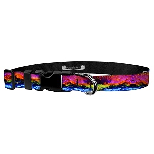 adjustable collar 134 xl psychic rainbow