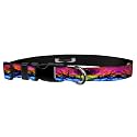 Adjustable Collar 1" XL, Psychic Rainbow