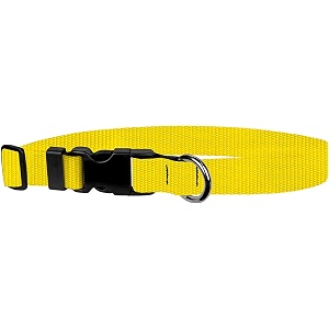 adjustable collar 3434 m yellow