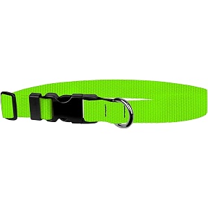 adjustable collar 3434 m hot green